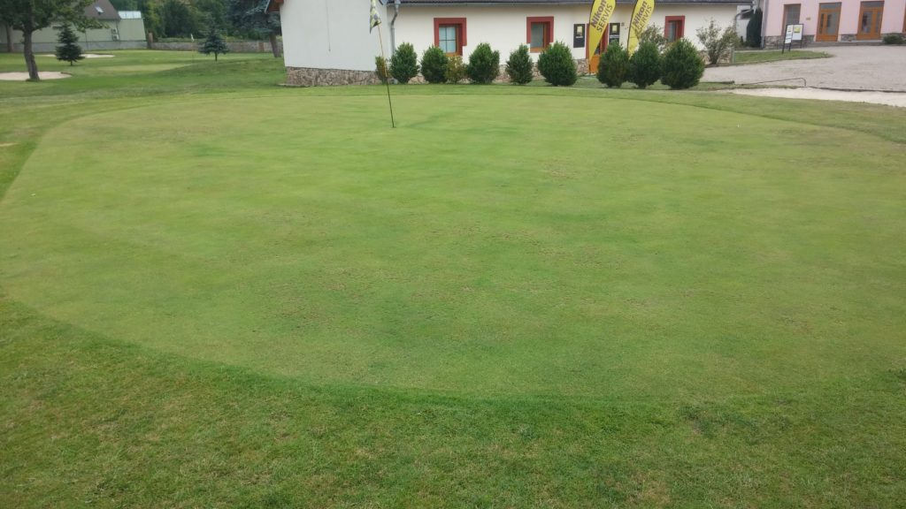 Green na PAR3