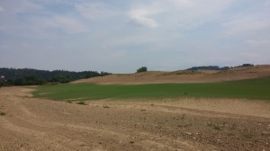 Čerstvě zatravněná fairway v Kácově      