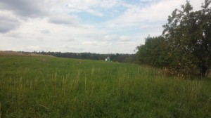 Pozemky u golfového hřiště v Kácově na prodej  
